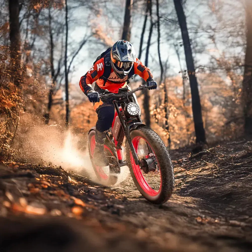 Duotts N26 Fat Tire Electric Bike