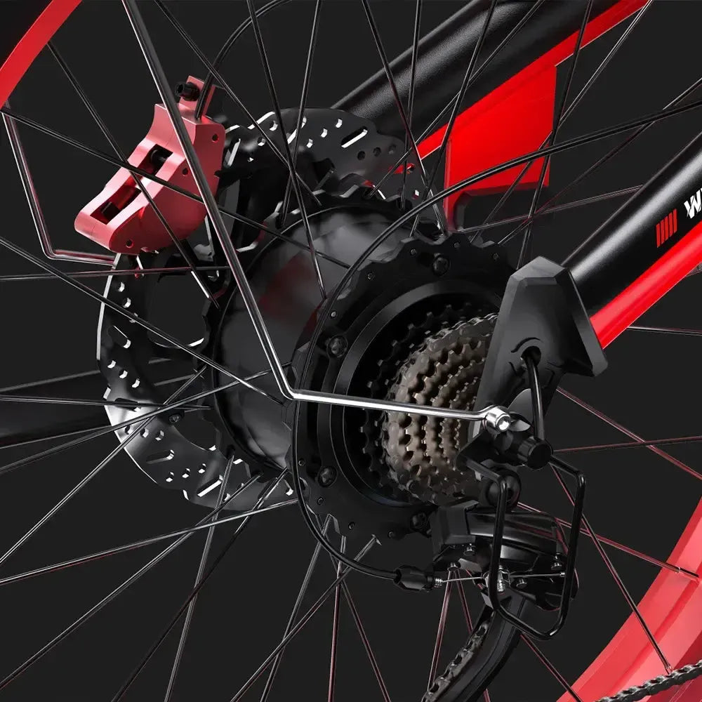 Duotts N26 Fat Tire Electric Bike